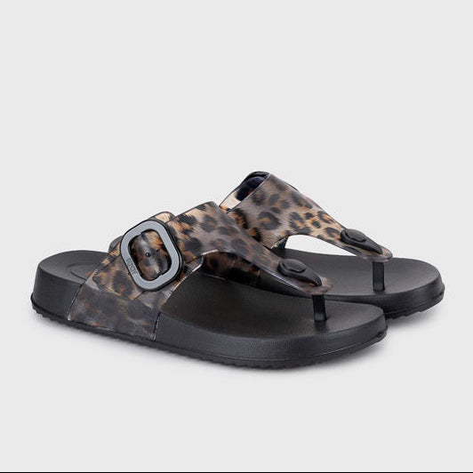 Igor Bari Leo Negro Sandalia de agua esclava animal print