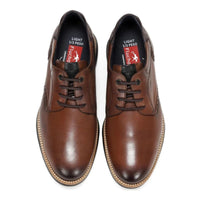 Fluchos William F1351 Zapato piel marrón hombre